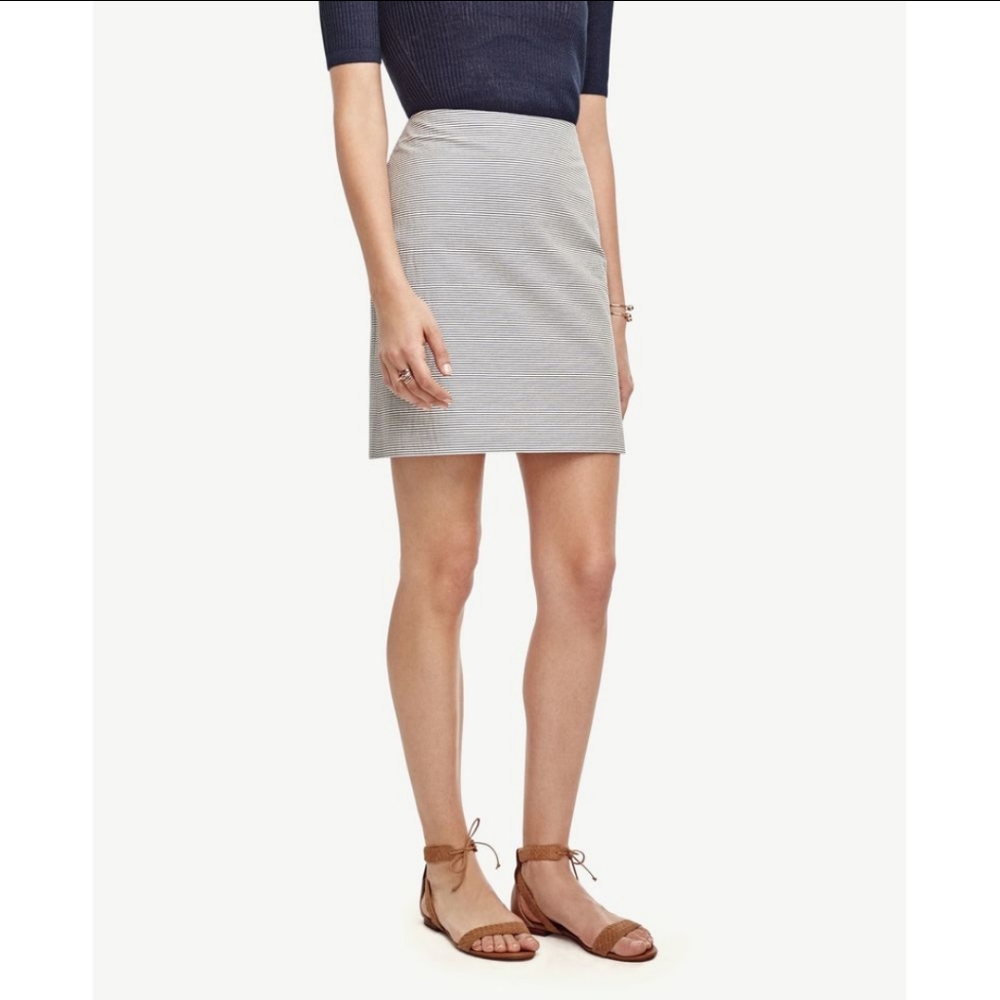Ann Taylor skirt